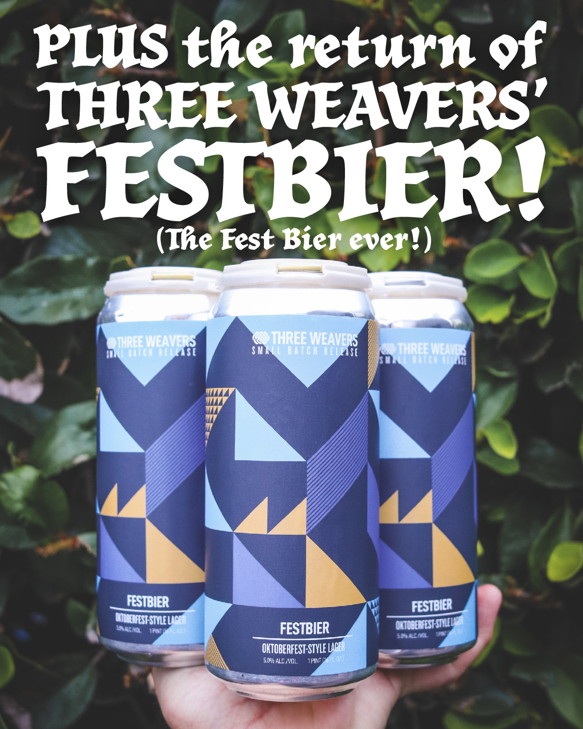 New Release: Festbier Oktoberfest-Style Lager